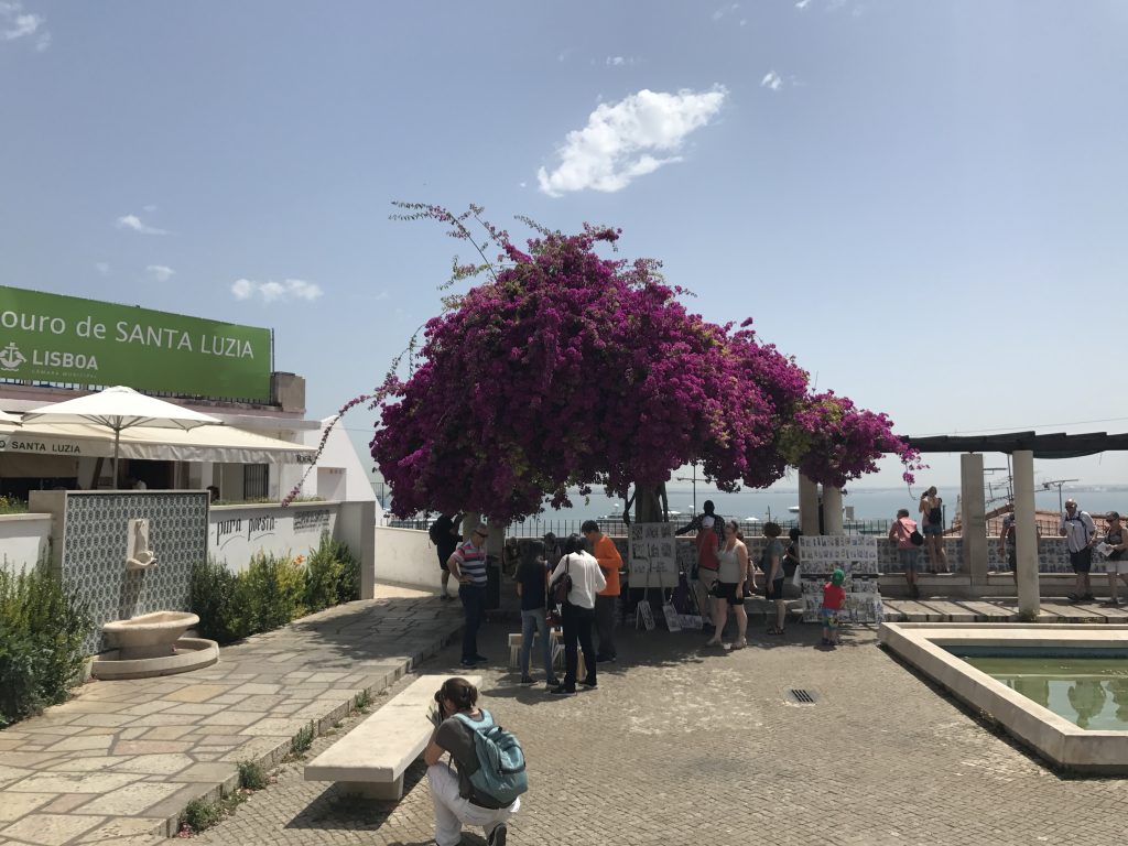 Miradouro de Santa Luzia