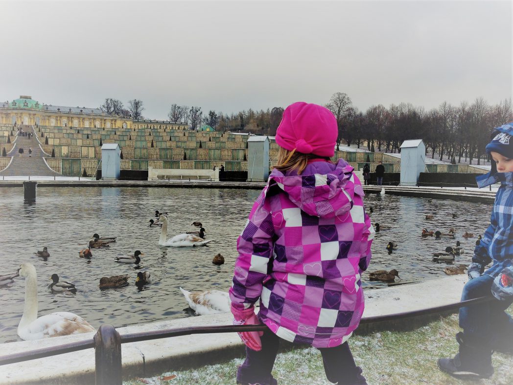 Winter im Park Sanssouci